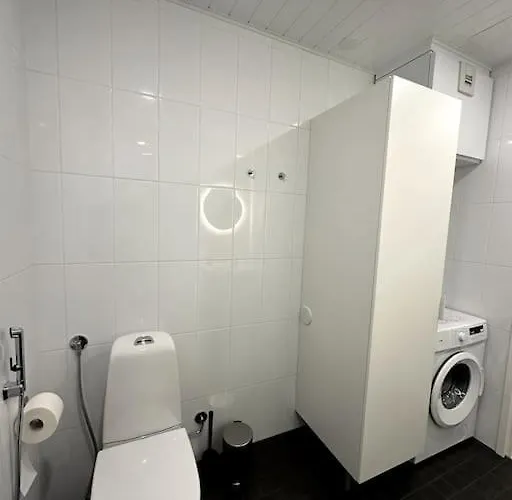 Kotimaailma #3 - Viihtyisae Kaksio Keskustassa Сейняйоки